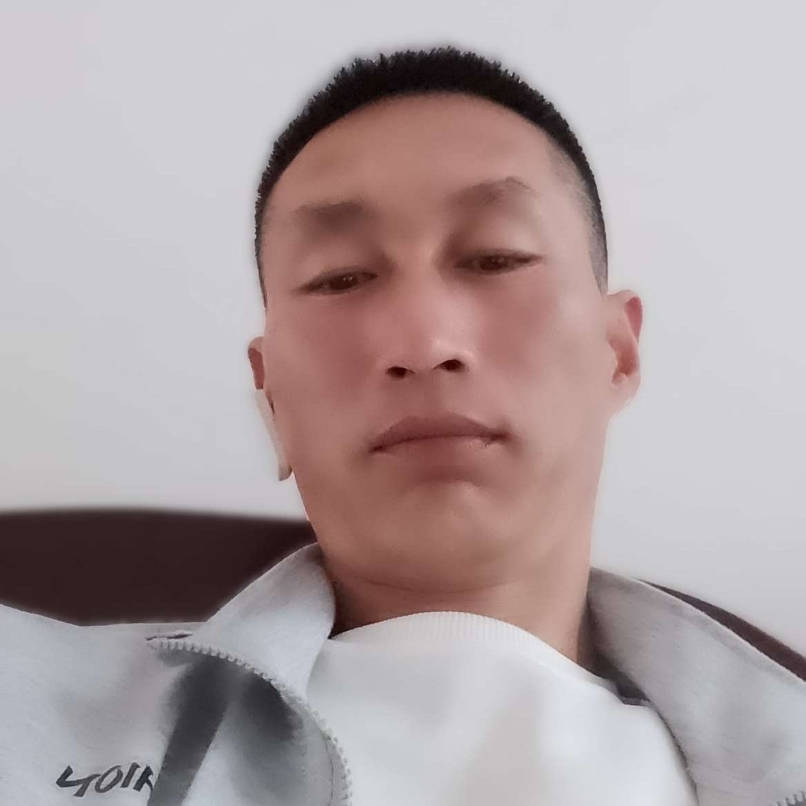 腾飞的鱼的照片