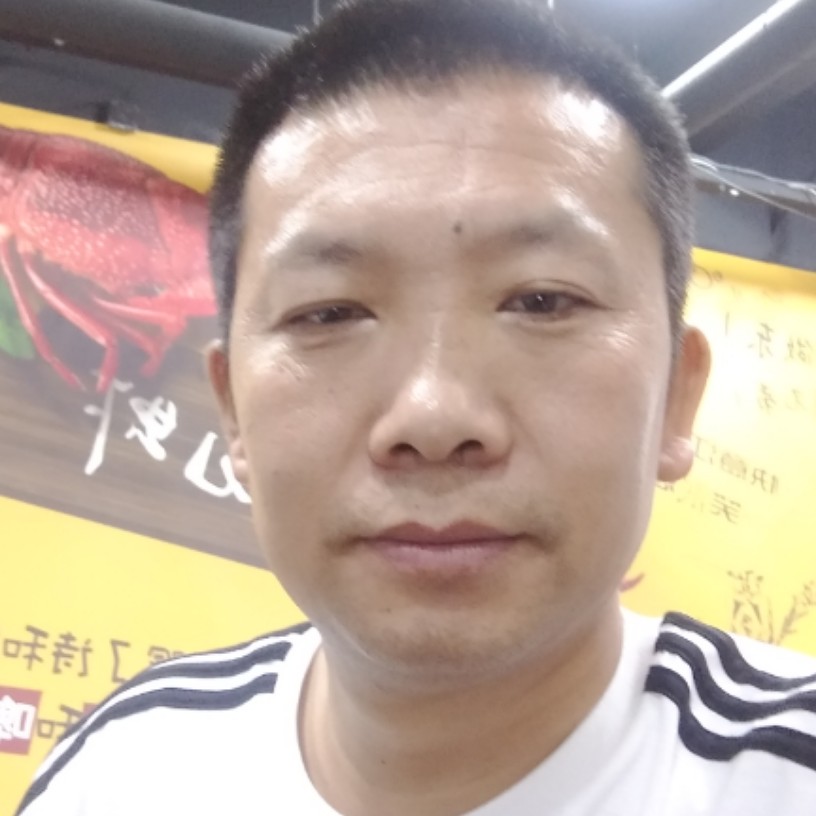 蓝天种鸽基地。的照片