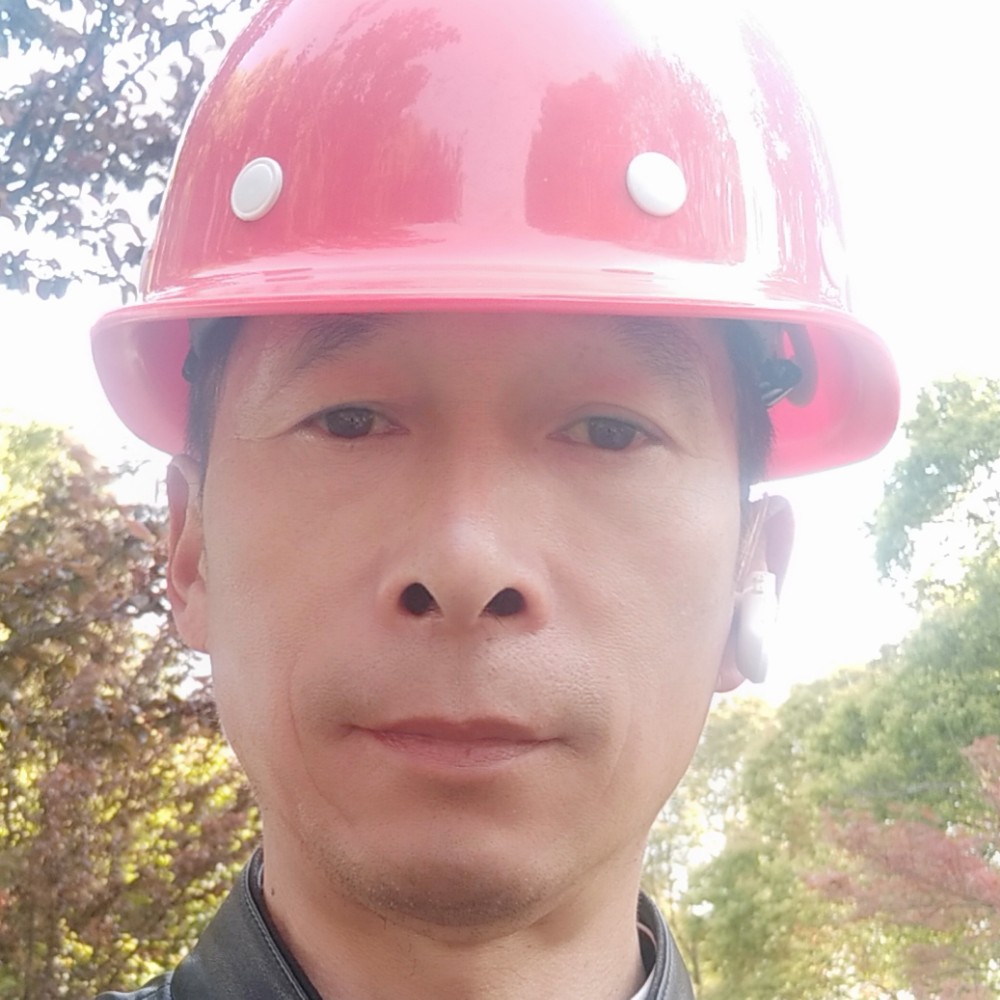 森儒的端庄的照片