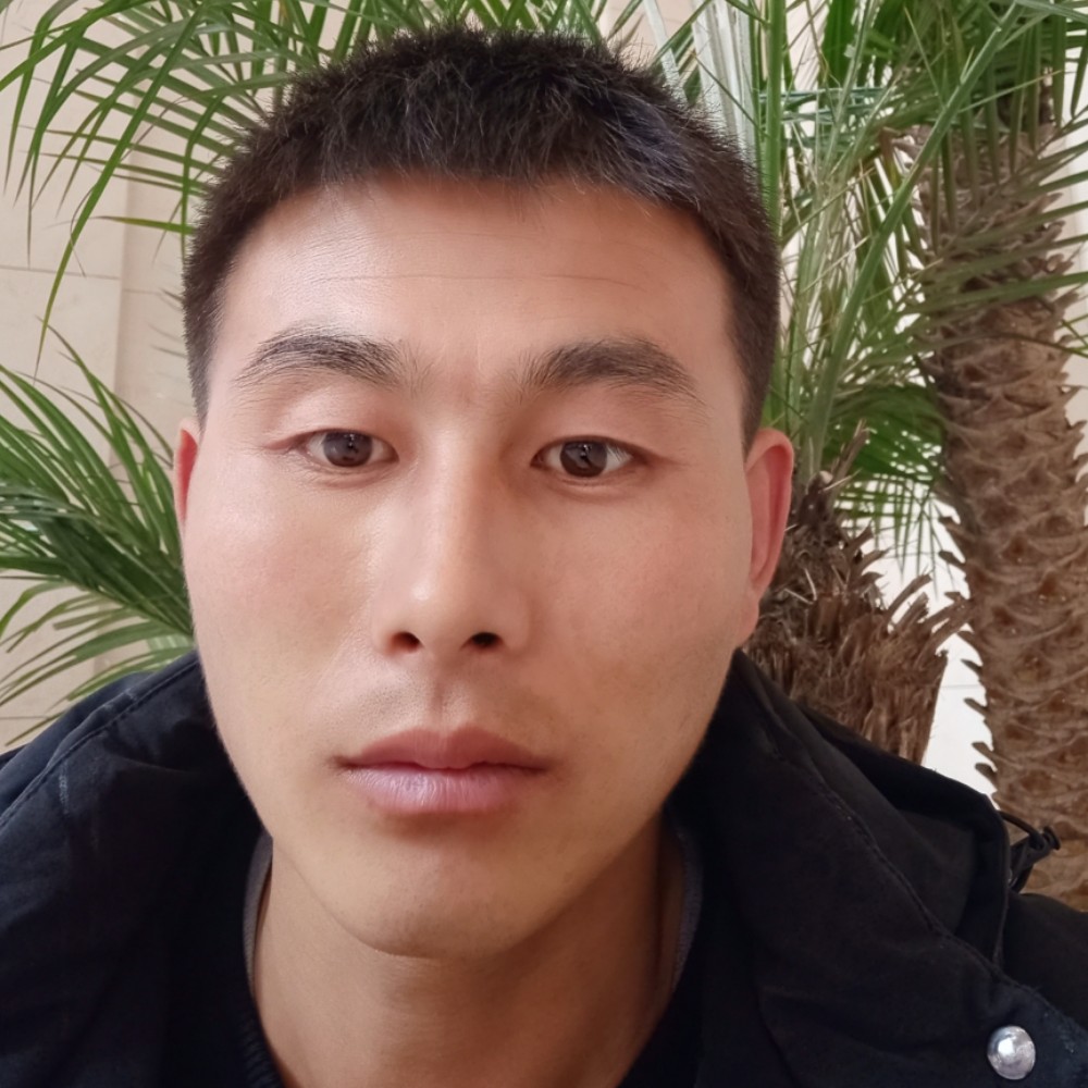 枫叶相许包容的照片
