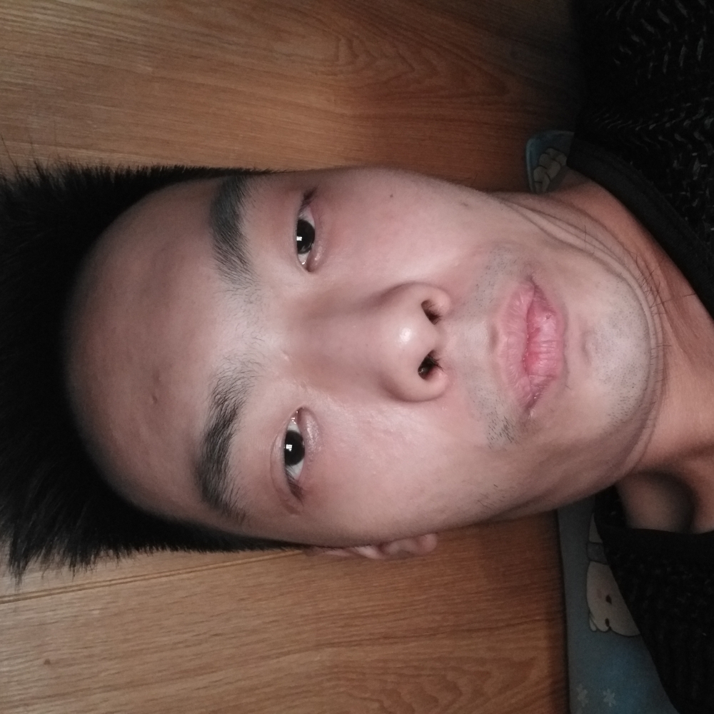 陆地神龙的照片