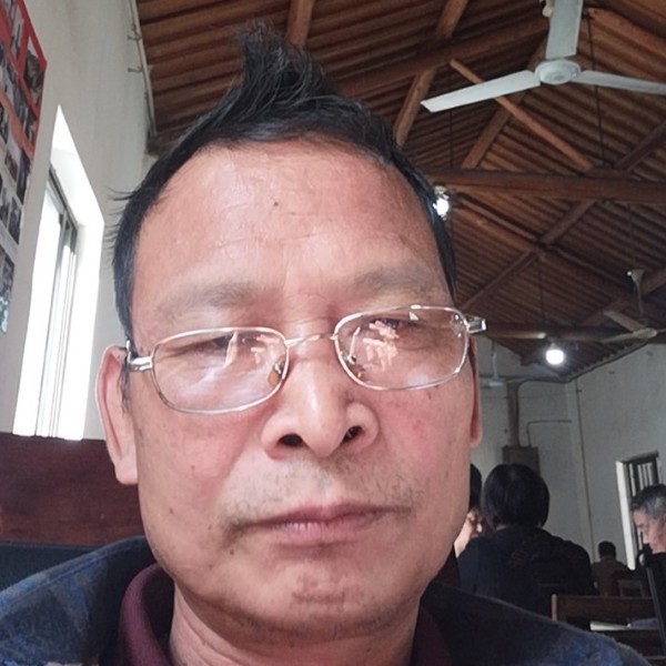 绿茶回首端庄的照片