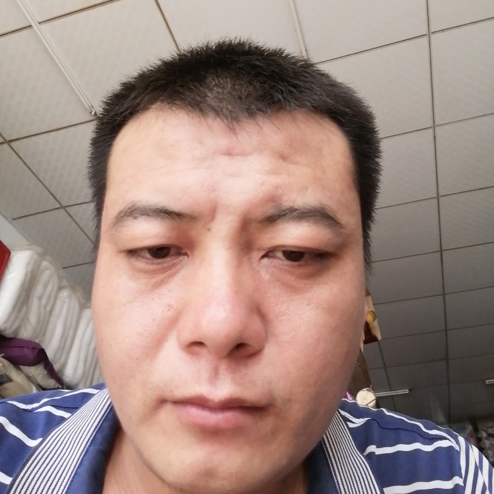 花瓣犹豫的照片