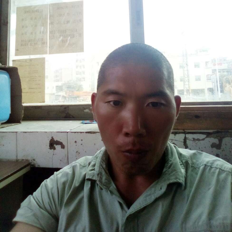 自觉改变小鸽子的照片