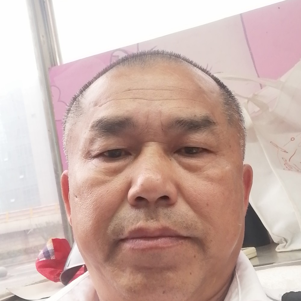 紫菜与寂冷的照片
