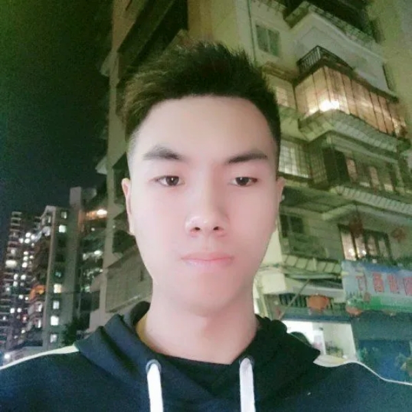 单薄等待小海豚的照片