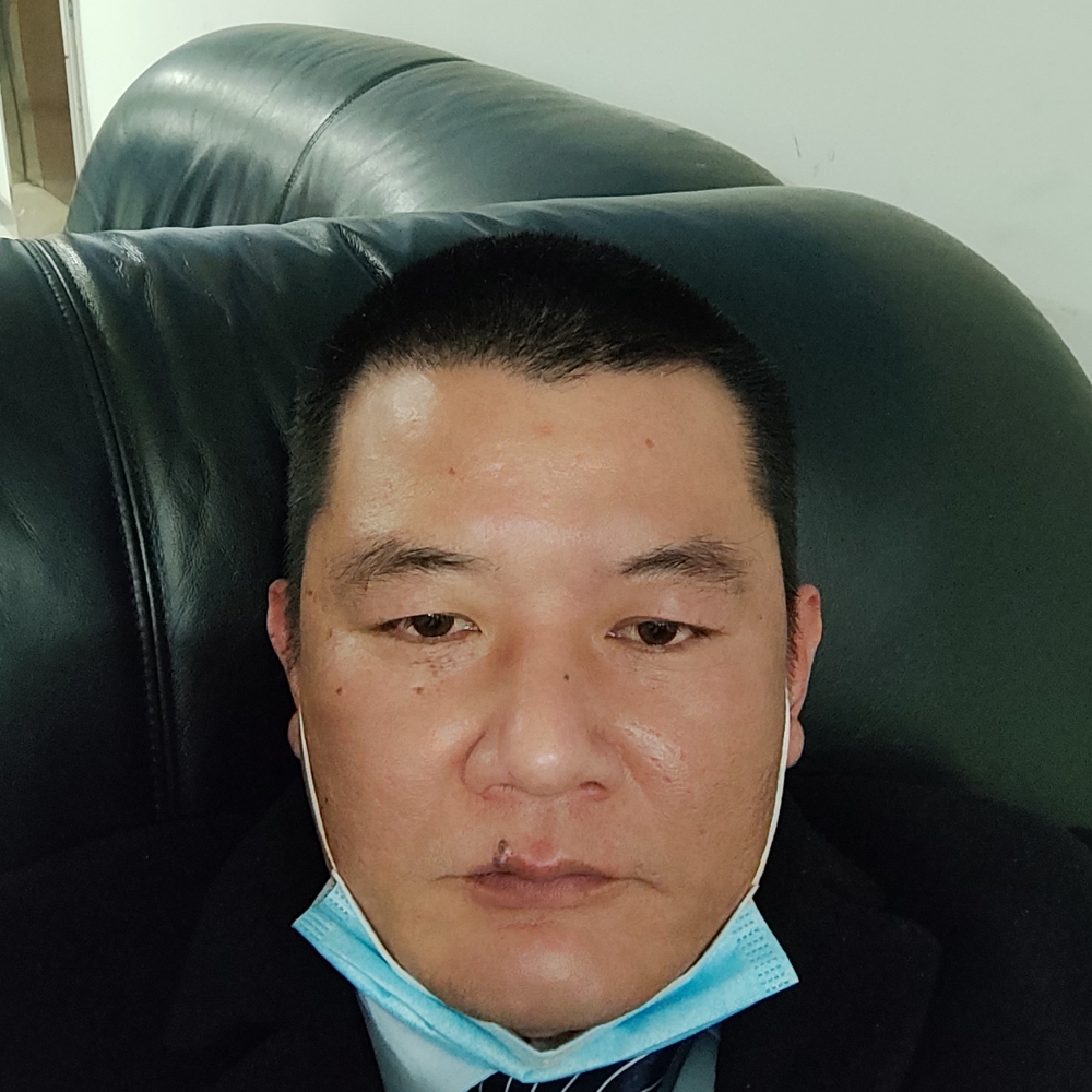 大力演变黄蜂的照片