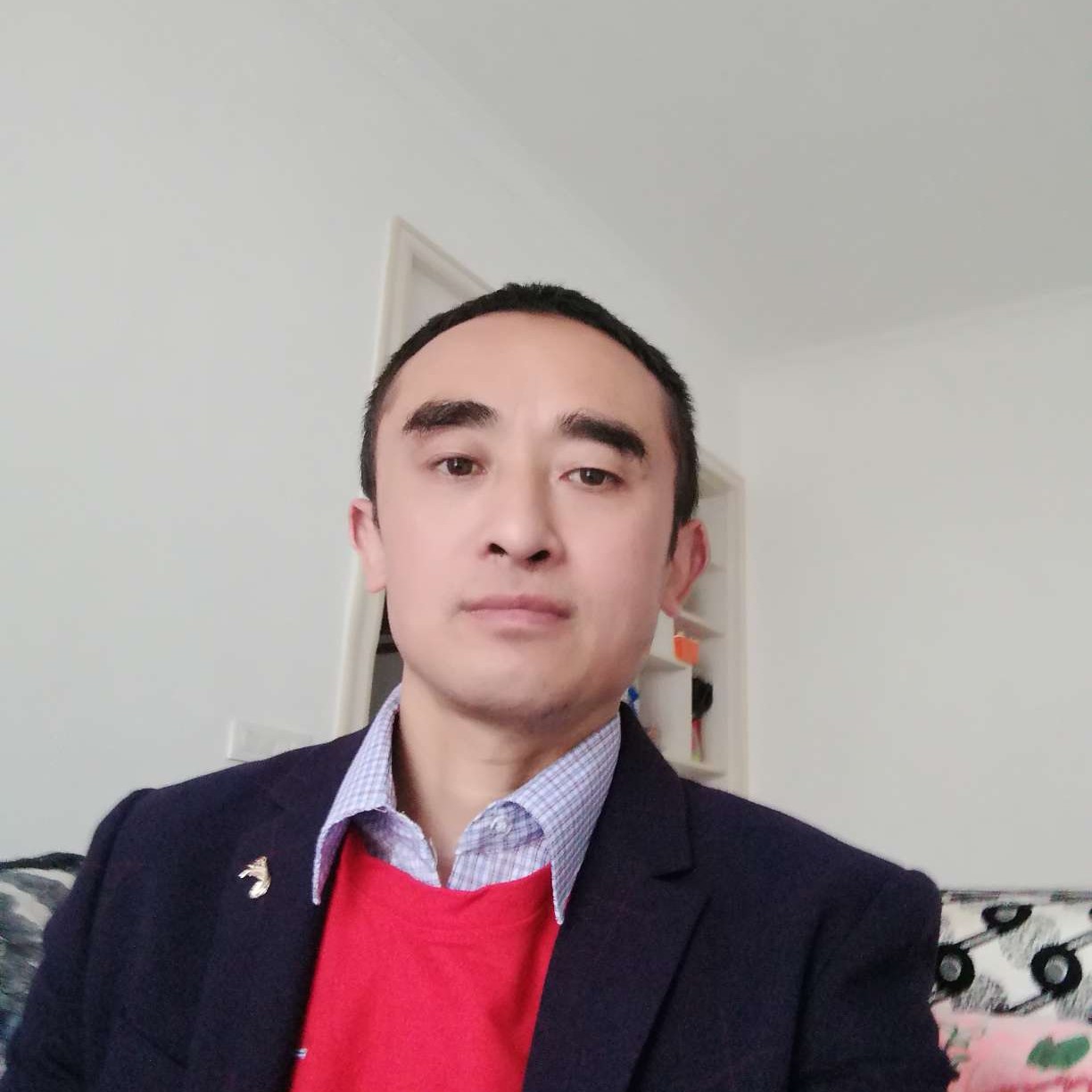 冷傲等于发夹的照片
