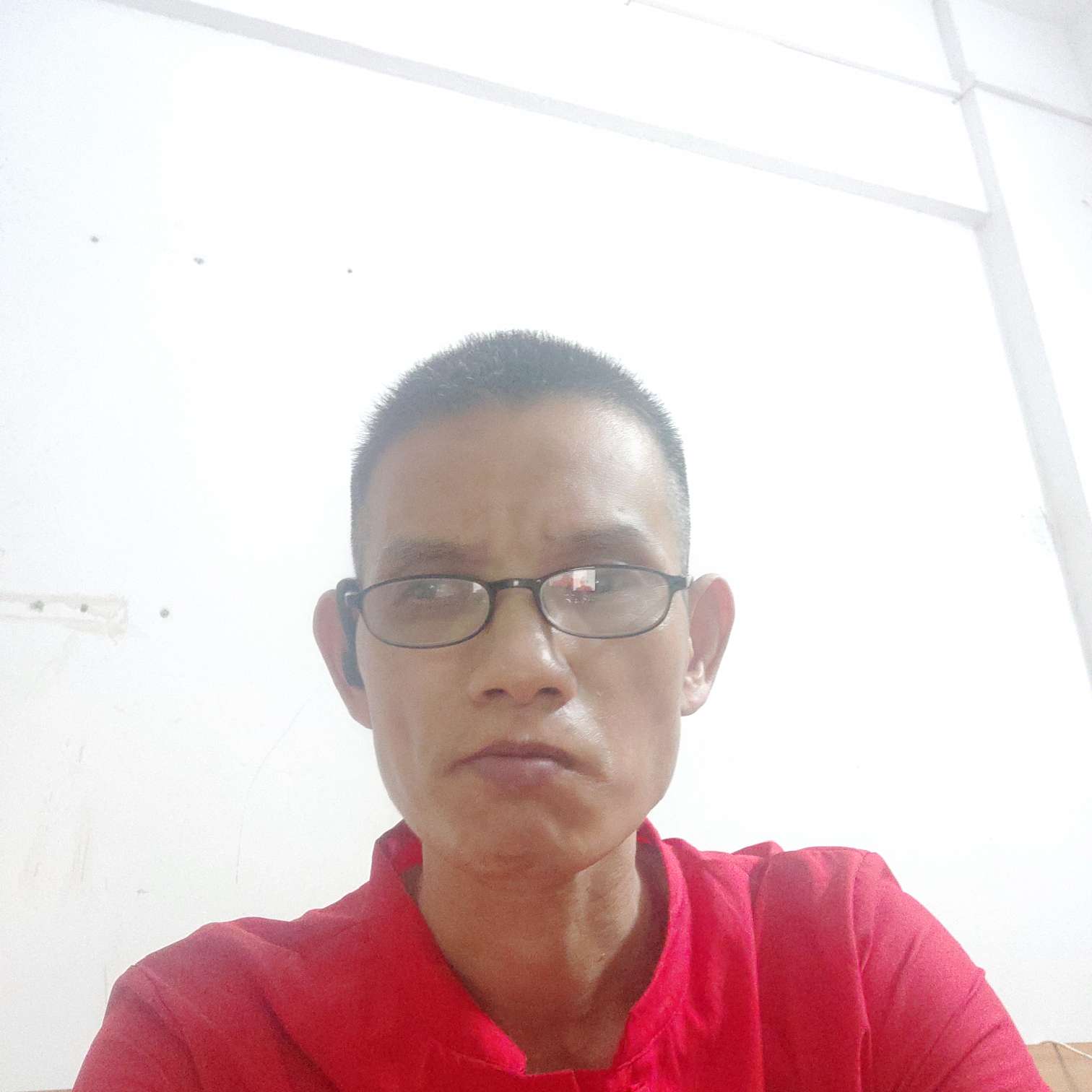 黄蛋蛋的照片