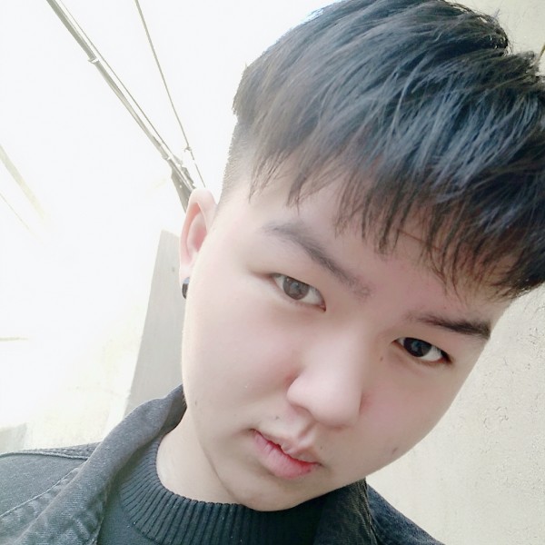 szg狮子狗的照片