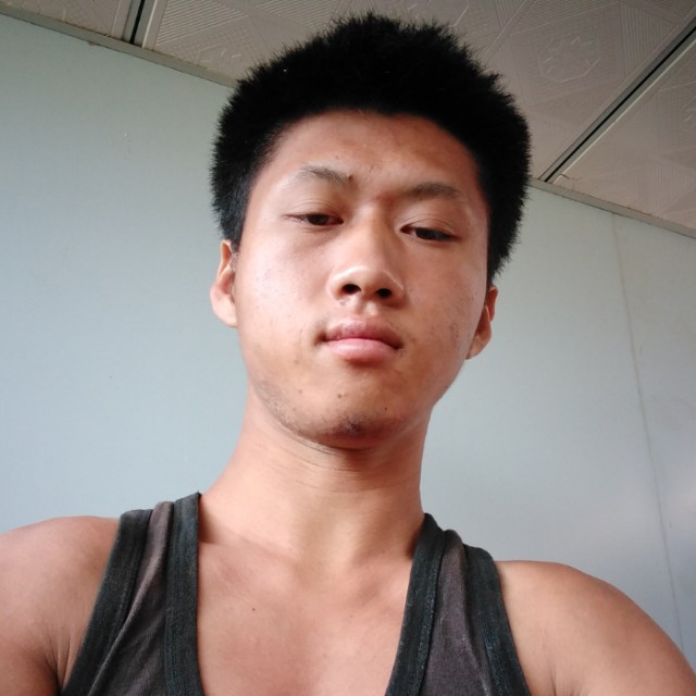 康乃馨聪慧的照片