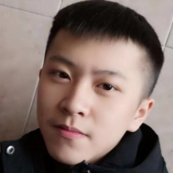 阿虾的猫的照片