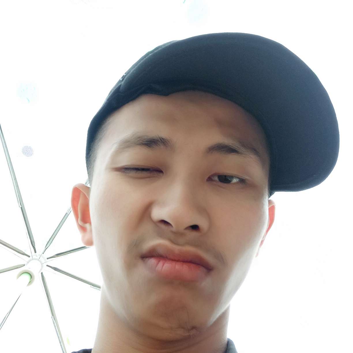 诗酒趁年华的照片