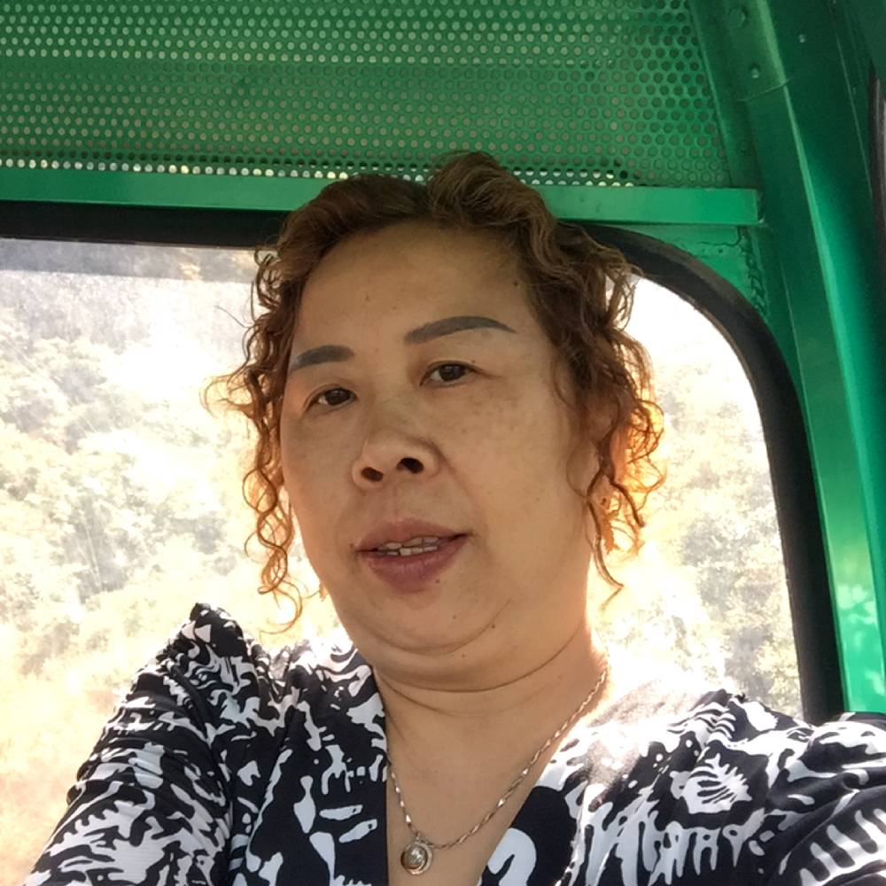 单身請小猫咪的照片