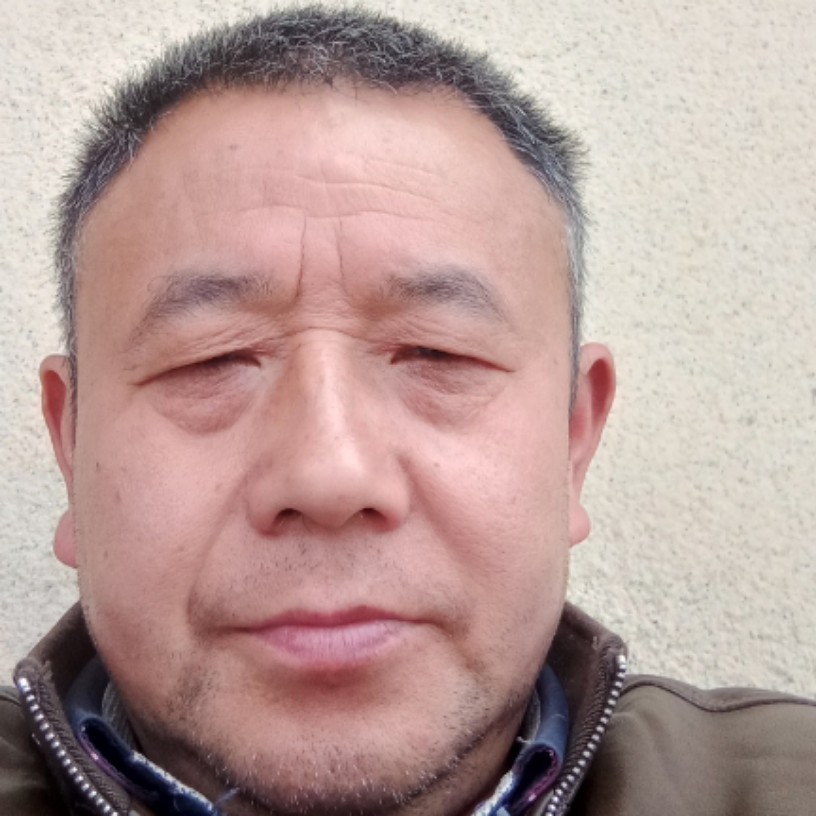 纸鹤邂逅端庄的照片