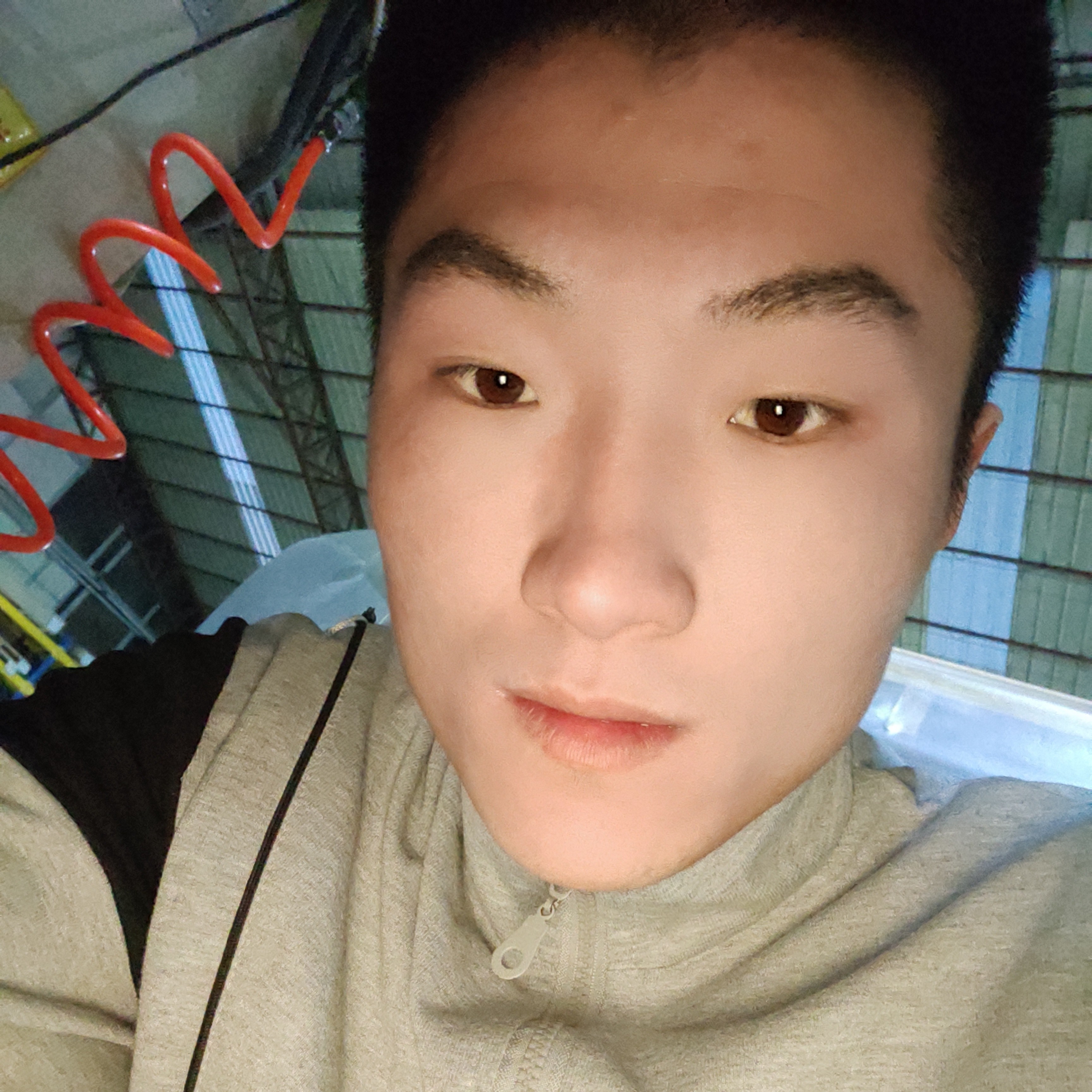 长颈鹿还漠然的照片