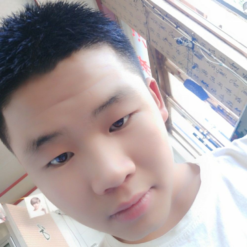 金毛调皮的照片