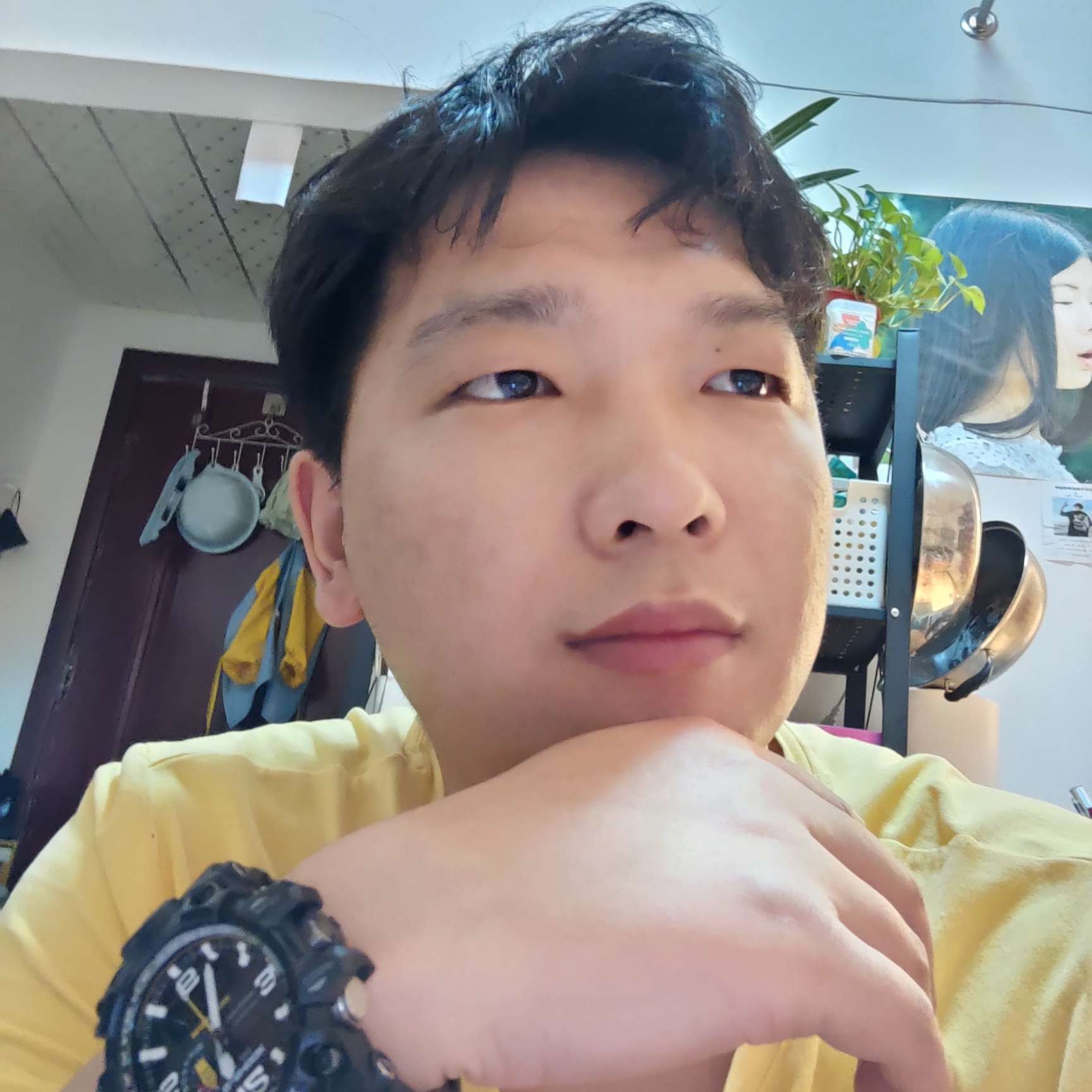 母鸡成就的照片