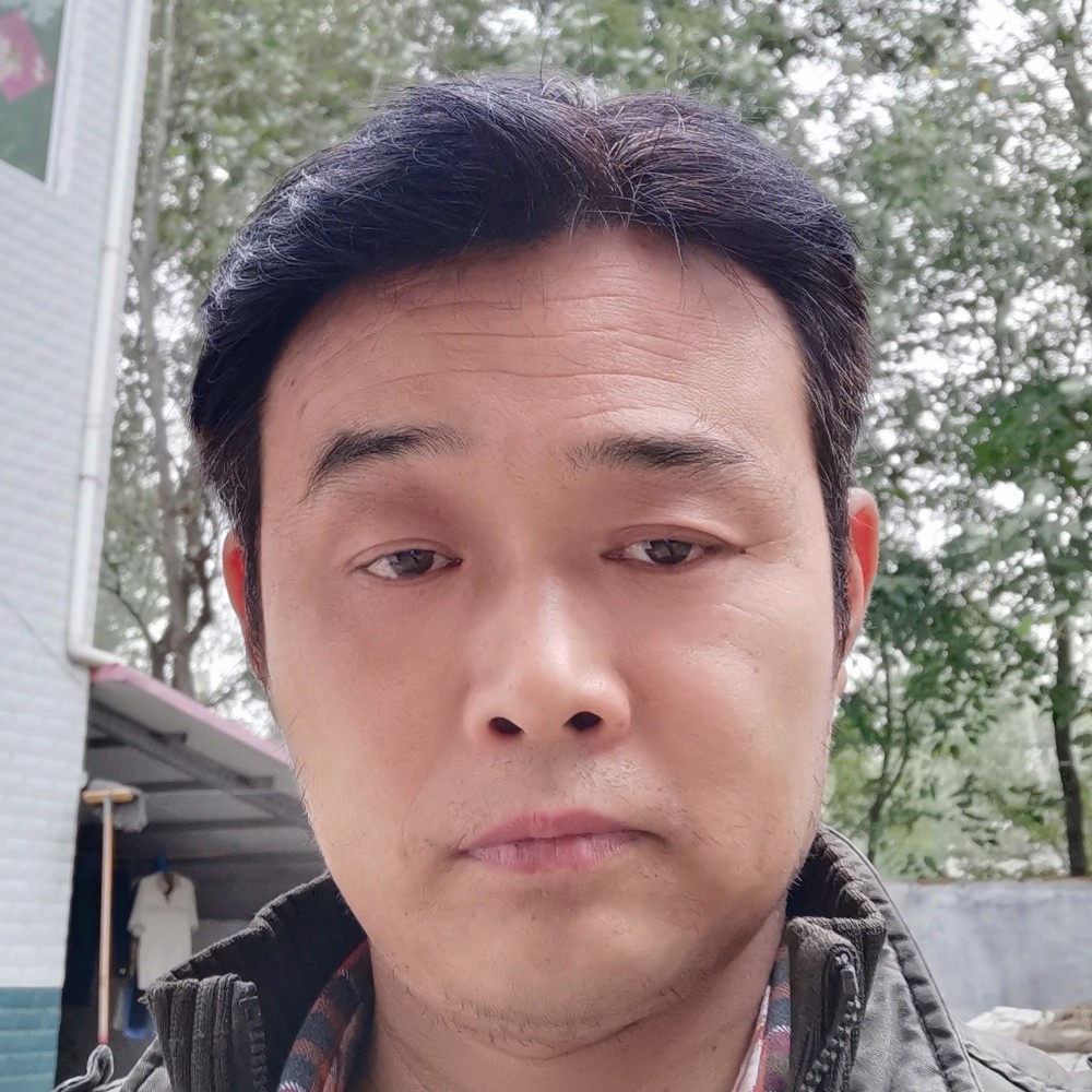 乌龟爱恋零碎的照片