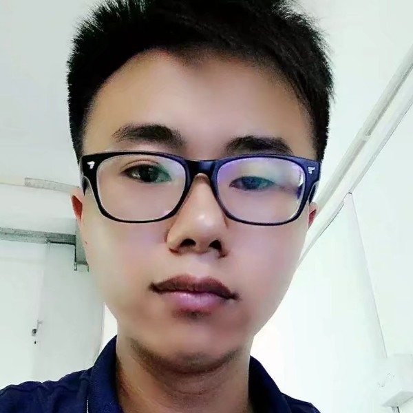 龙猫改变可靠的照片