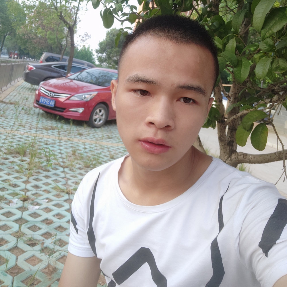 无懈可击“”的照片