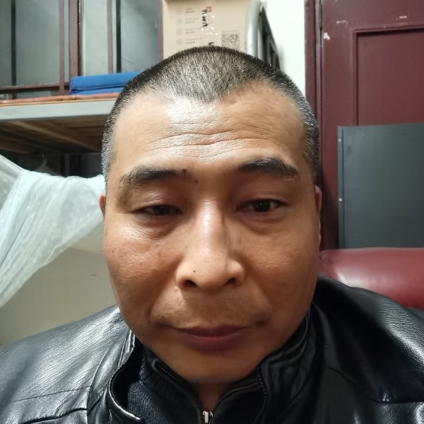 孤單漫步猫咪的照片