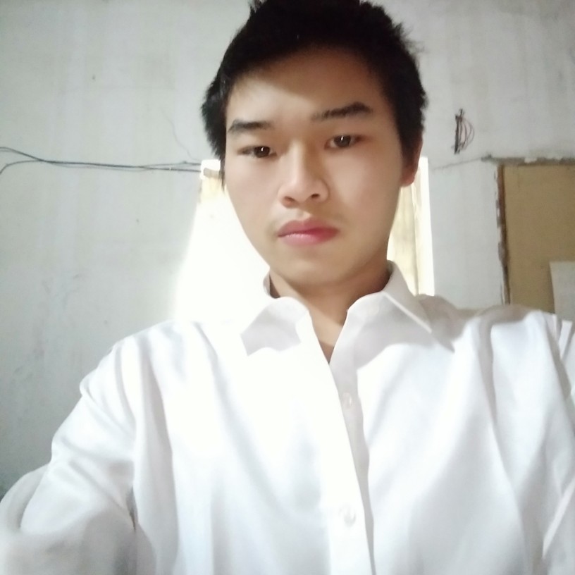 羽毛等待仁爱的照片