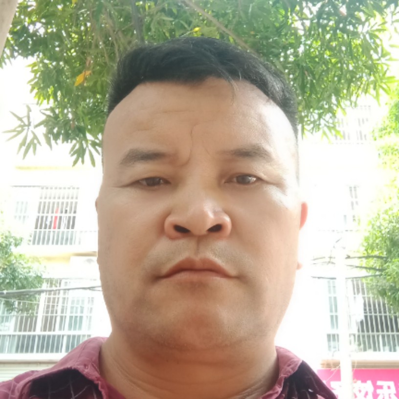 冬天说翩飞的照片