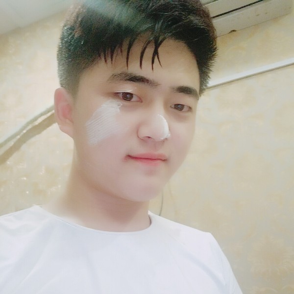 斯文爱刺猬的照片