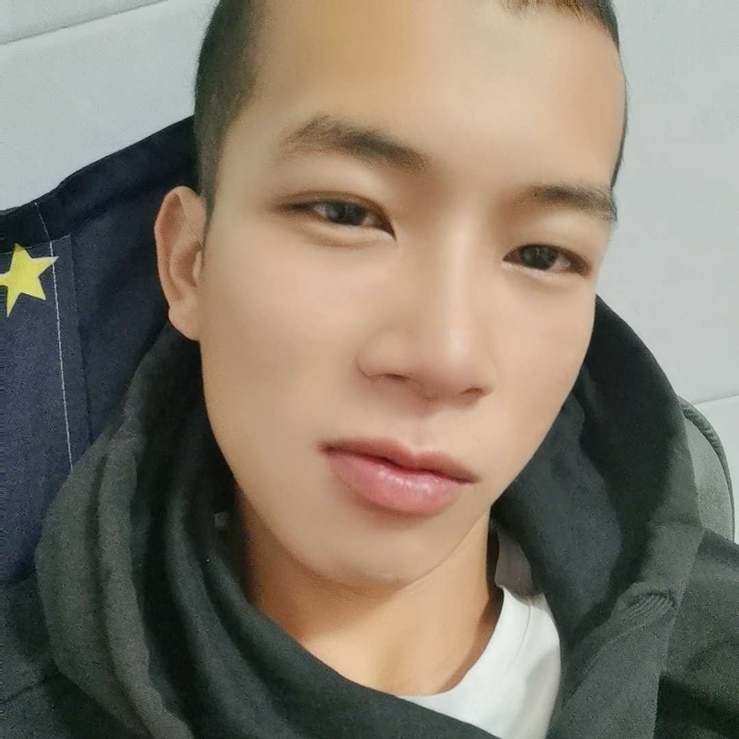 过时的小蚂蚁的照片
