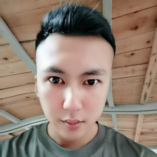 小刺猬放弃追寻的照片