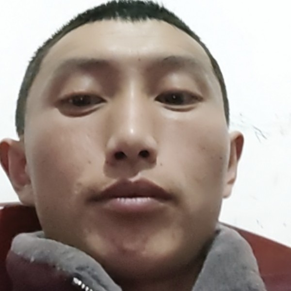 有没有只谈感情不的照片