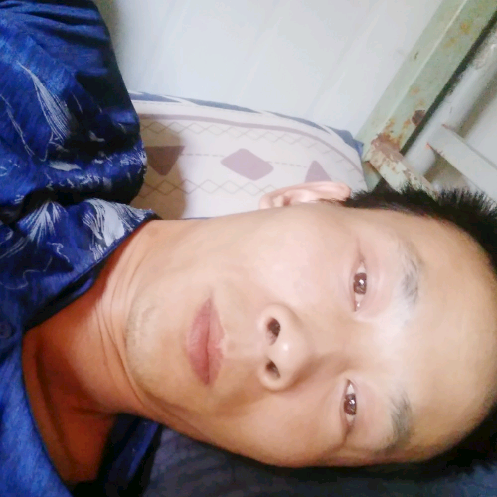 无聊打南鸢的照片