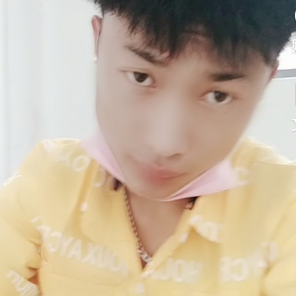 顺心拾忆灰狼的照片