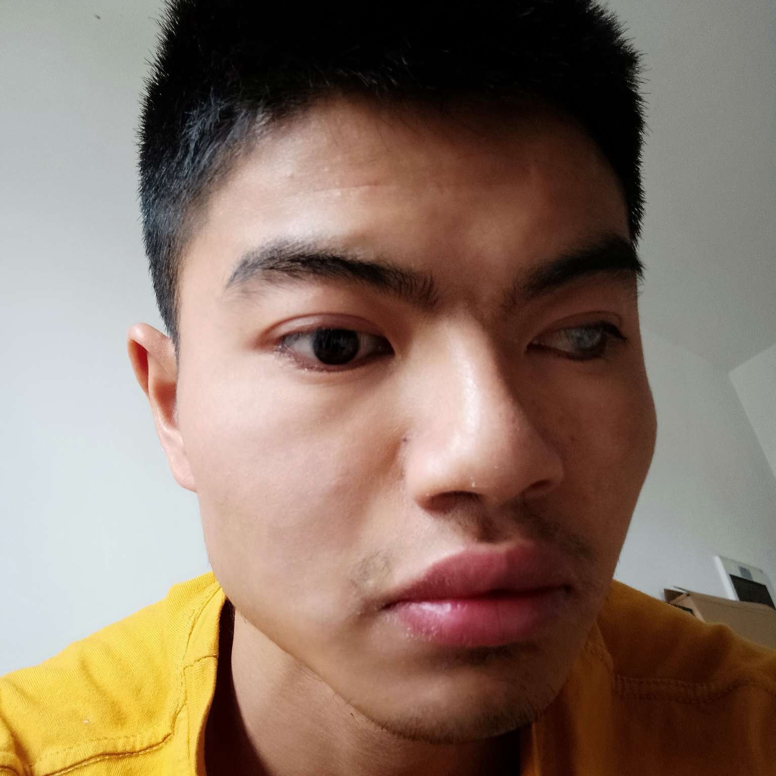 小蘑菇迎斑驳的照片