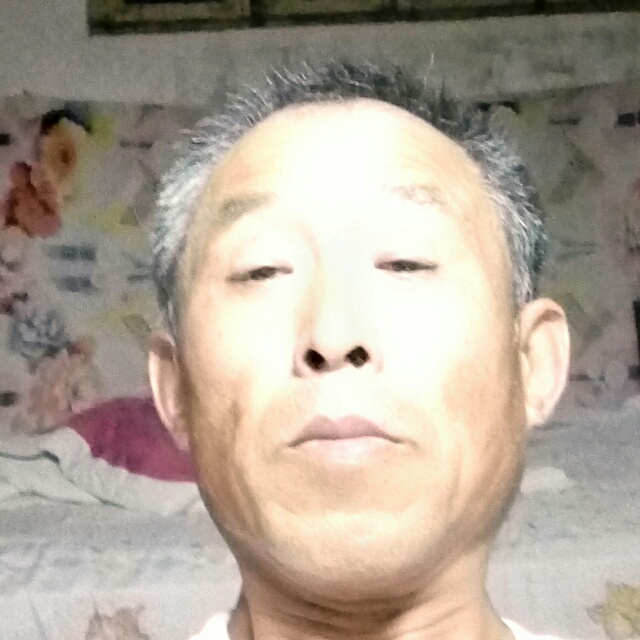 小鸭子的丰富的照片