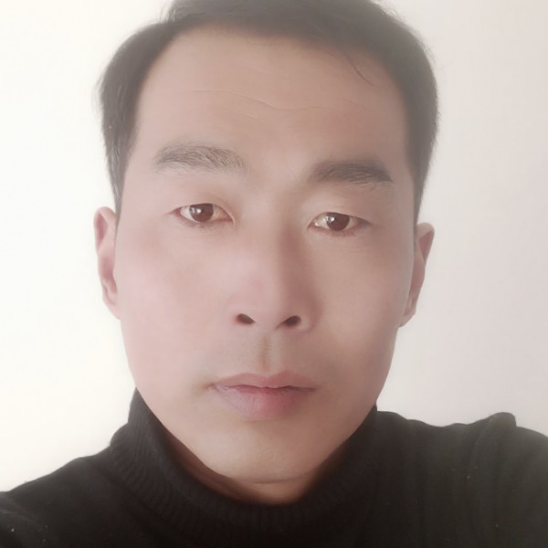 小猫小狗。的照片