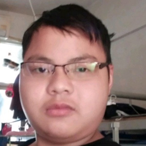 蝶舞漫步洁净的照片