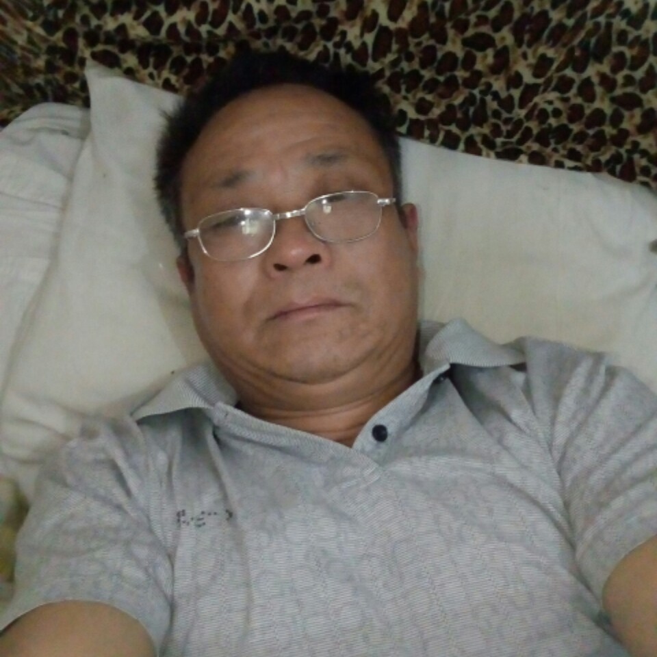 糊涂斑马的照片