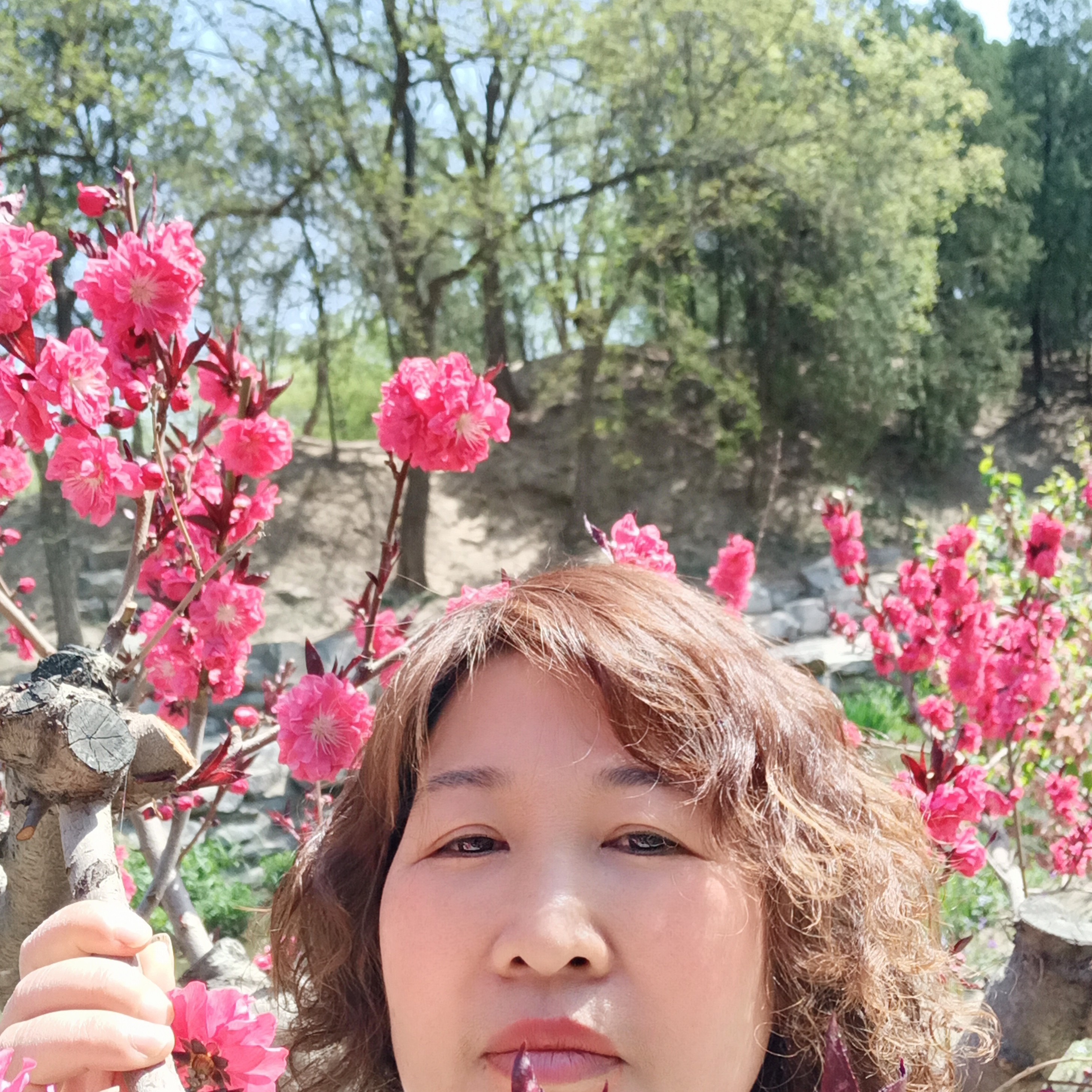 会员84447的照片