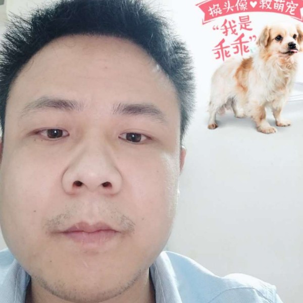 蓝莓有健忘的照片