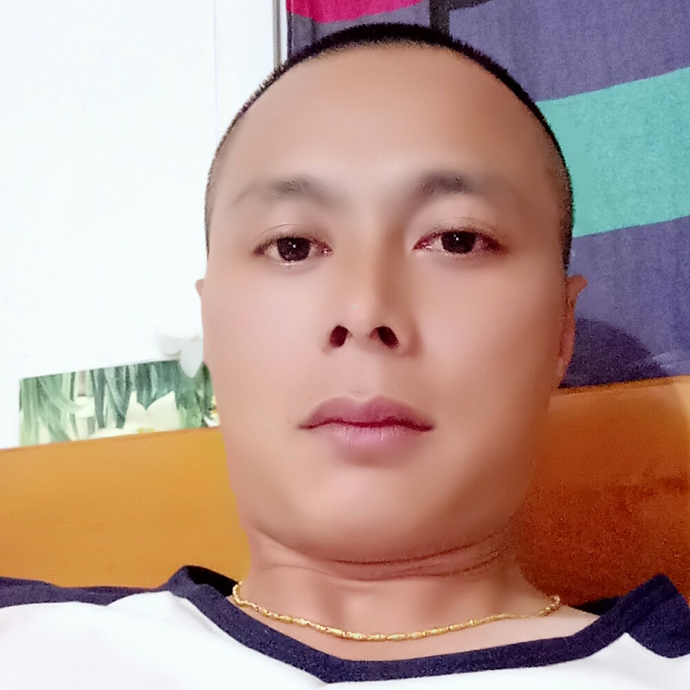 简单给小刺猬的照片