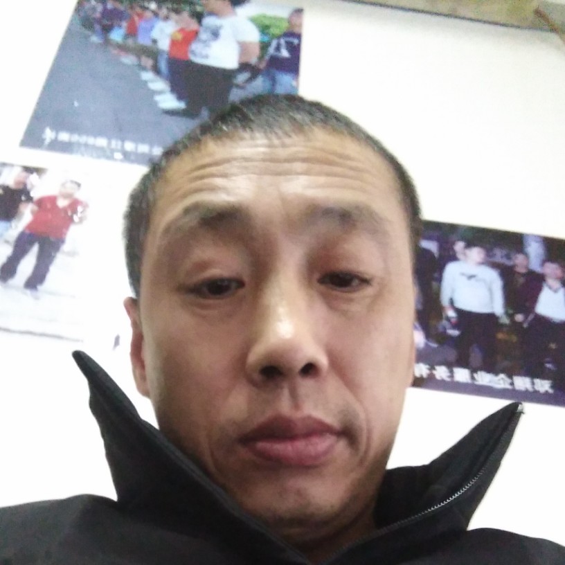 碧蓝发夹的照片