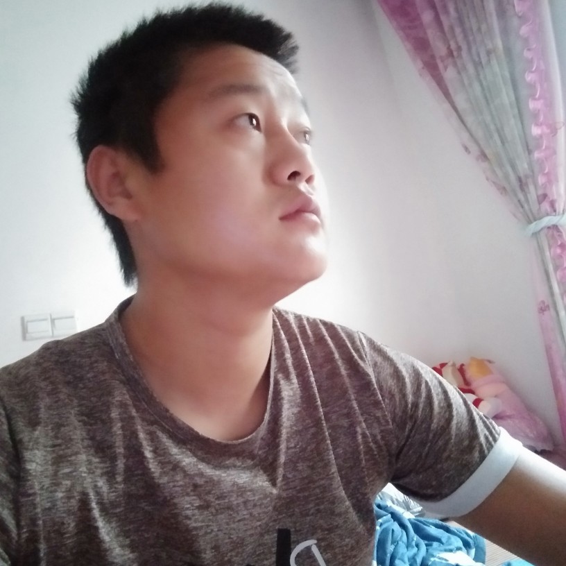 阳光就春天的照片