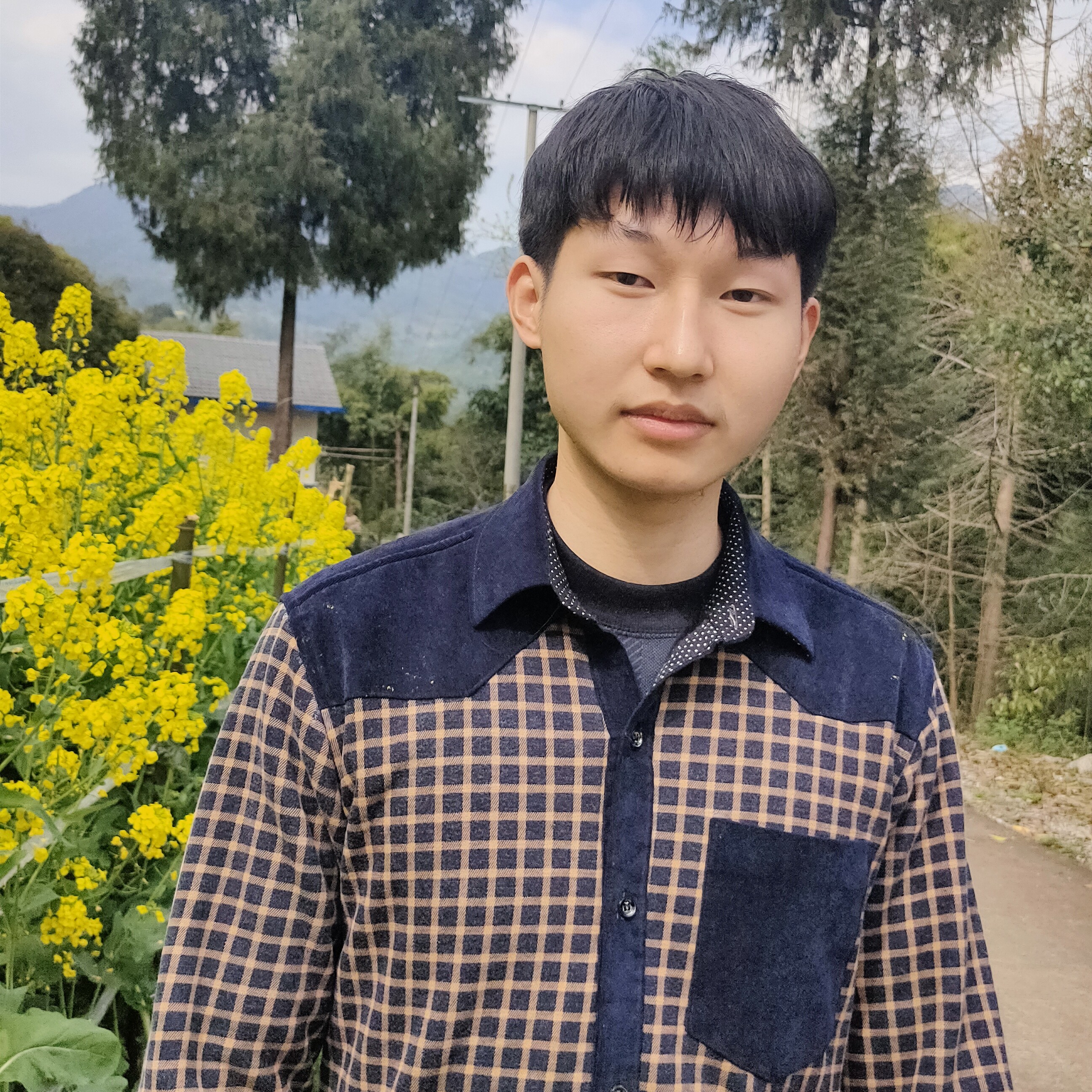 清爽挽手小海豚的照片