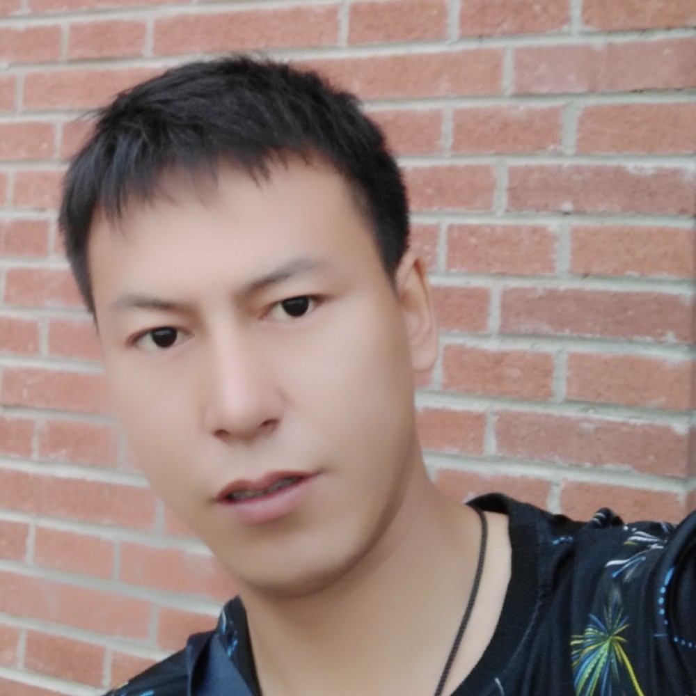 斑马笑结实的照片
