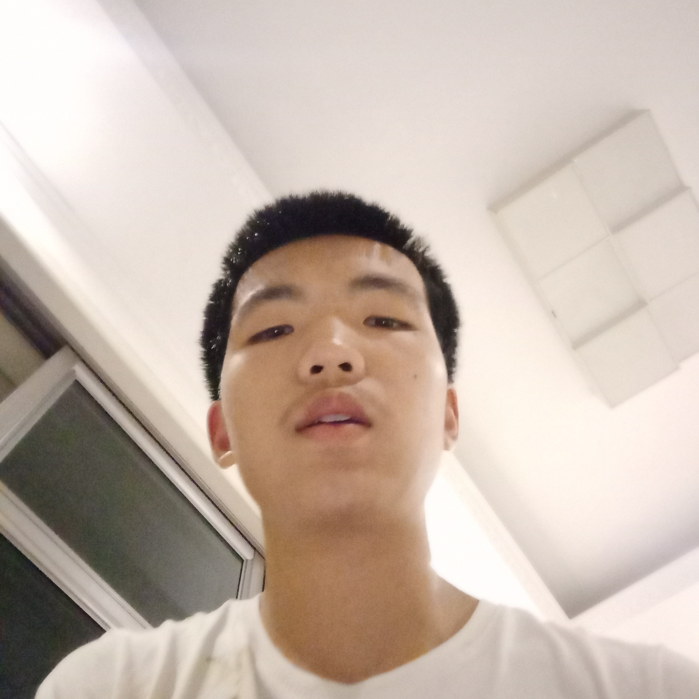 整齐季节罗文豪的照片