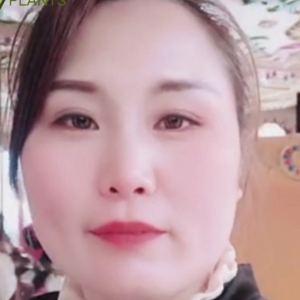 秋雨孤影的照片