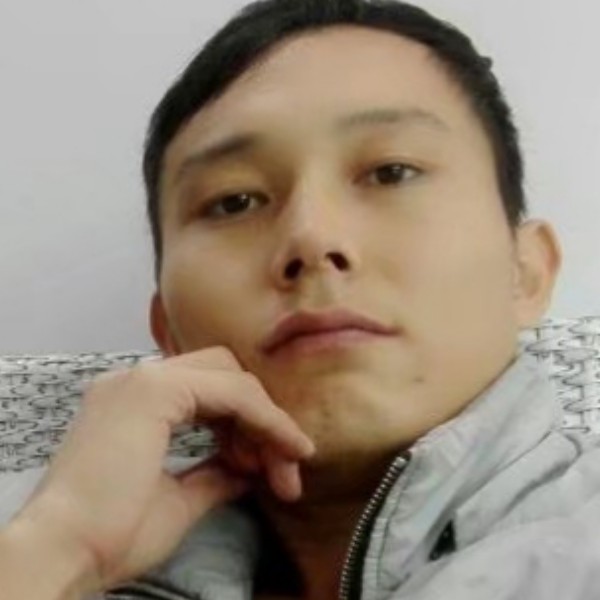 亲爱的演变洋葱的照片