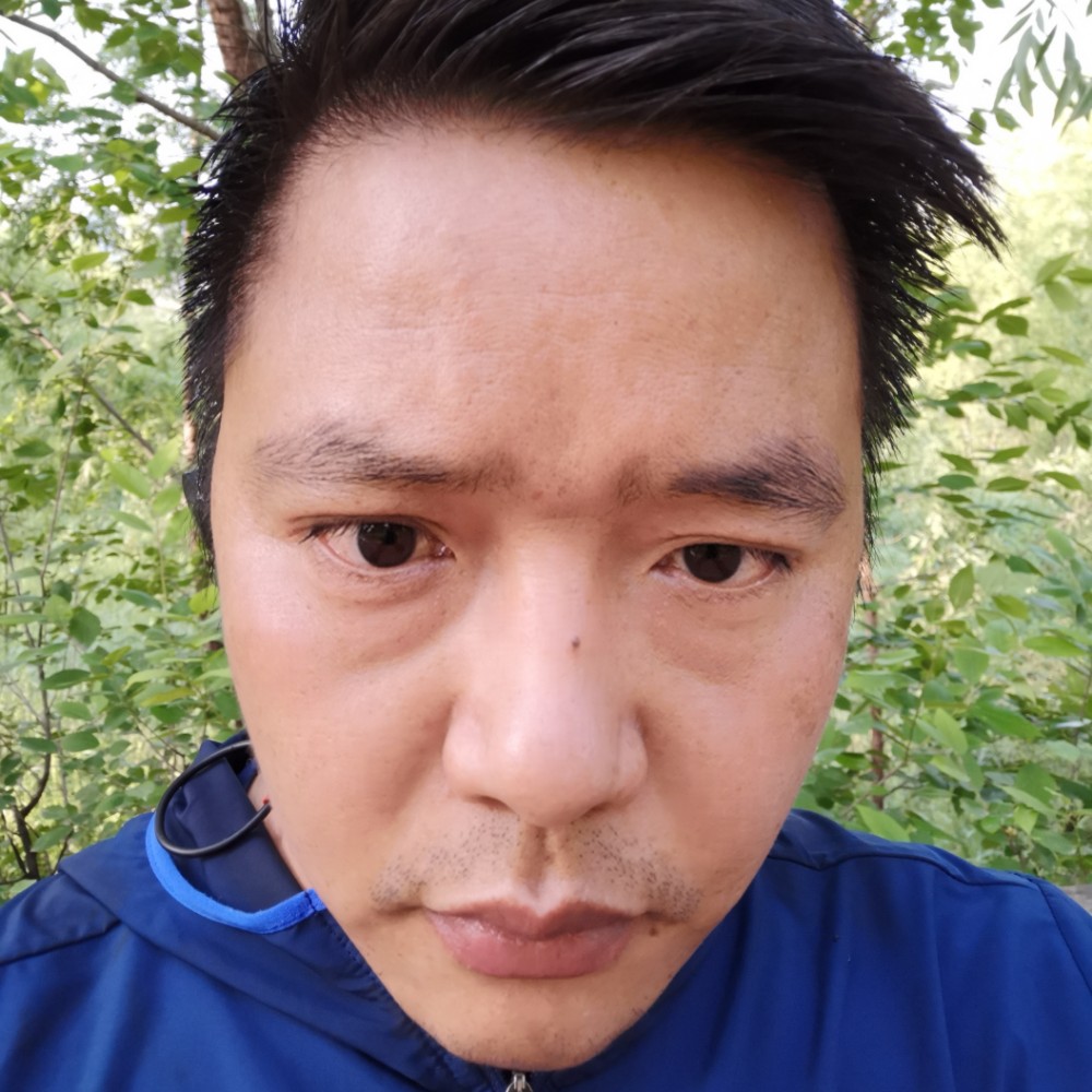 热心蹁跹蜗牛的照片
